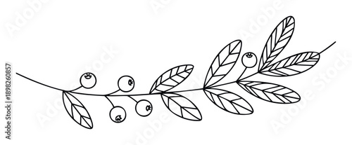 Elegant line drawing of a wild berry branch featuring distinct leaves and small fruit ideal for natural themed invitations print projects or educational materials
