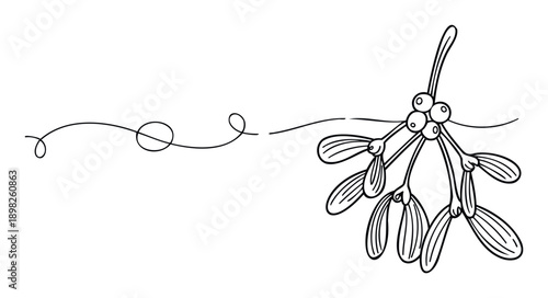Simple line drawing of a mistletoe branch with berries and leaves connected by a delicate swirling line, perfect for winter holiday greeting cards, festive invitations, or decorative