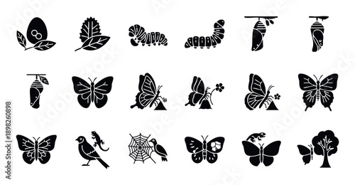 Butterfly life cycle stages from egg to adult insect, with associated natural elements including predators and habitat, valuable for biology education and nature studies.