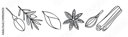 A hand drawn black outline collection of popular aromatic kitchen spices and fresh culinary ingredients for foodrelated projects and recipe book designs.