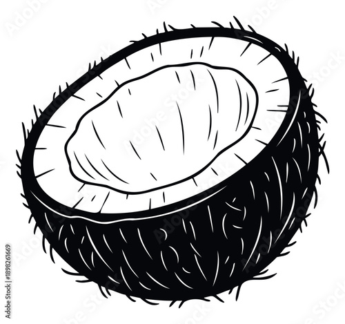 Discover the fresh tropical essence of a half coconut, ideal for healthy eating promotions, natural food product packaging, or beverage menu designs for a refreshing, organic feel.