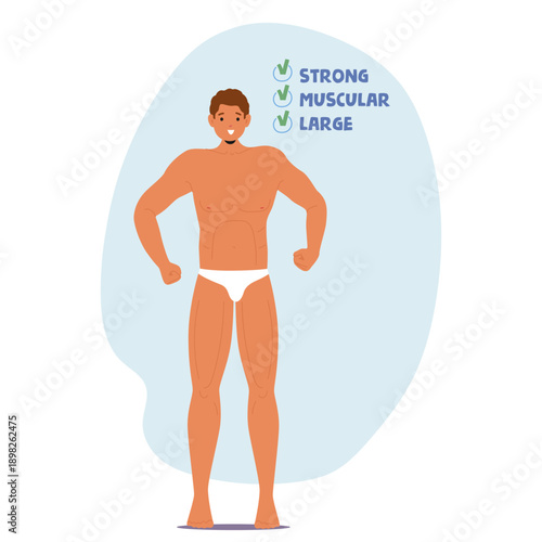 Male body strong, muscular and large according to gender role stereotypes and societal expectations