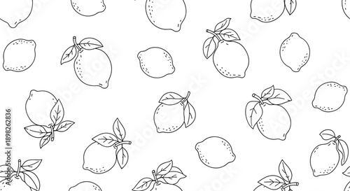 Simple seamless pattern background of hand drawn whole lemons with leaves in a minimalist black and white outline doodle style.