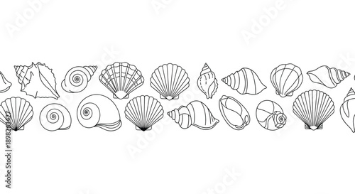 Seamless horizontal border made from a variety of seashells in a simple black and white outline and line art doodle style.