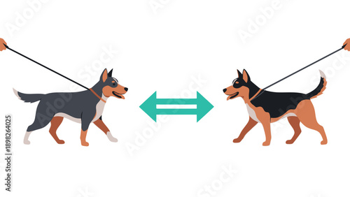 Two leashed dogs walking in opposite directions with an arrow symbolizing comparison or change for pet training and animal behavior concepts and ideas