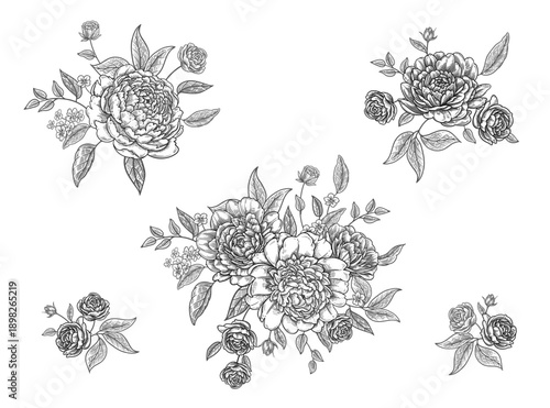 Blooming peonies bouquet set. Black and white decoration. Vintage
