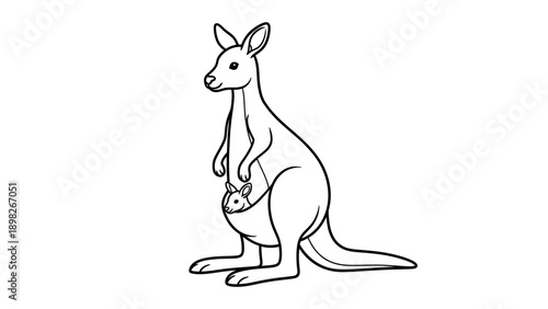 Detailed black line graphic of a standing adult kangaroo holding its cute young joey in a belly pouch, suitable for educational resources and childrens projects and activities.