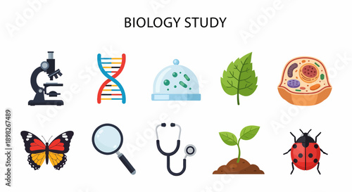 An arrangement of ten biologyrelated icons in two rows against a white background