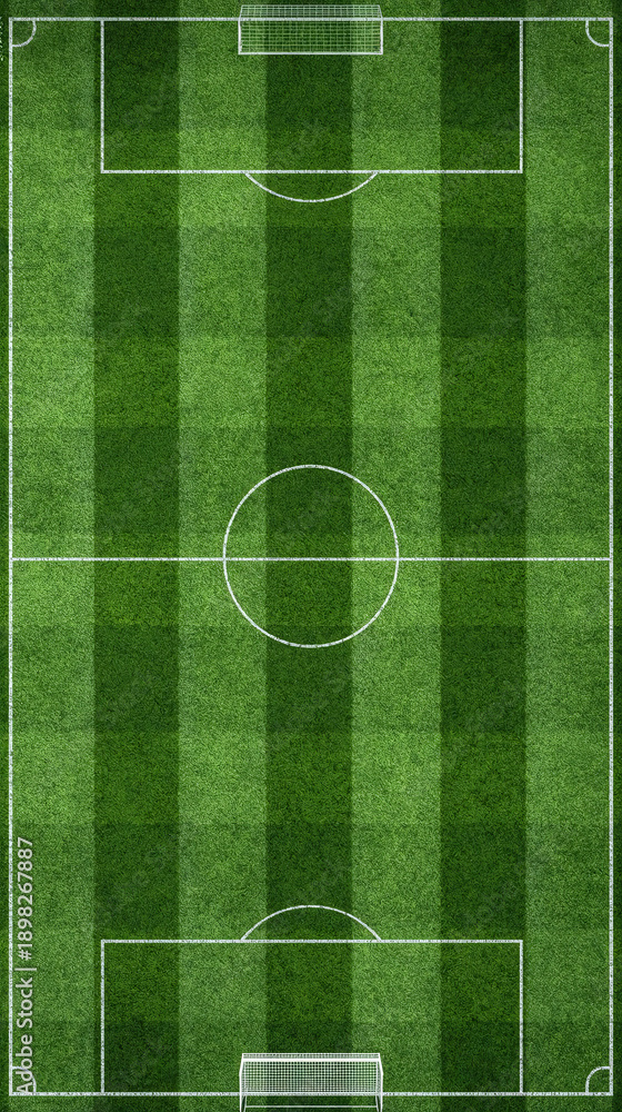 Obraz premium Top Down Soccer Field with Striped Grass and Goalposts