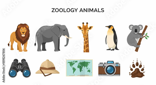 Flat illustration of five animals and five safaritravel items under ZOOLOGY ANIMALS