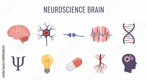 Neuroscience Brain icons arranged in two rows under a dark purple title