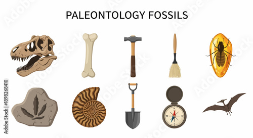 Paleontology fossils and tools illustrated dinosaur skull bone hammer brush amber insect track ammonite shovel compass pterosaur