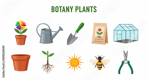 Ten botanyrelated items arranged in two rows under the title BOTANY PLANTS