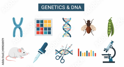 Ten flat vector icons related to genetics and DNA science across two rows