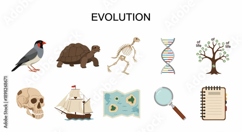 Ten icons related to evolution arranged in two rows under the title EVOLUTION