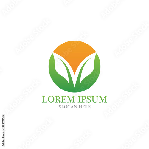 Leaf nature logo and symbol vector image