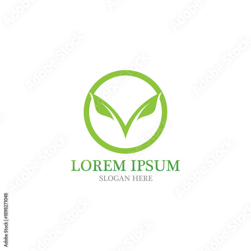 Leaf nature logo and symbol vector image