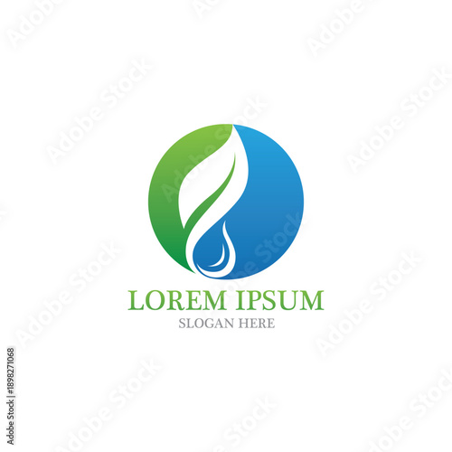 Leaf nature logo and symbol vector image