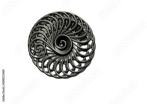 Intricate Metal Scrollwork Design.