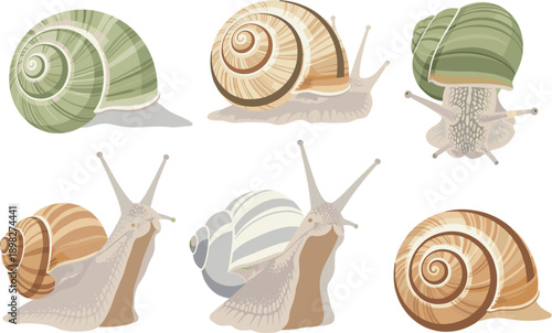Hand drawn garden snail illustrations with spiral shells in soft pastel colors natural vector style