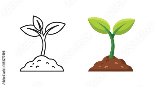 Image contrast showcasing a detailed outline drawing and a vibrant flat colored illustration of a small green seedling emerging from rich brown soil representing growth