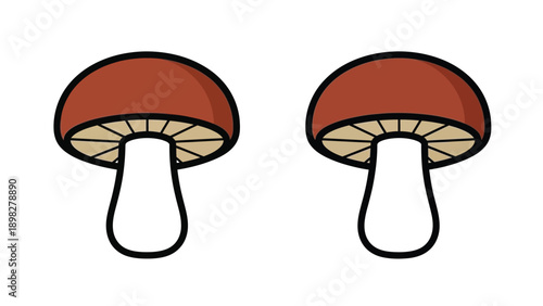 Cute cartoon illustration featuring two distinct edible forest mushrooms side by side with simple outlines