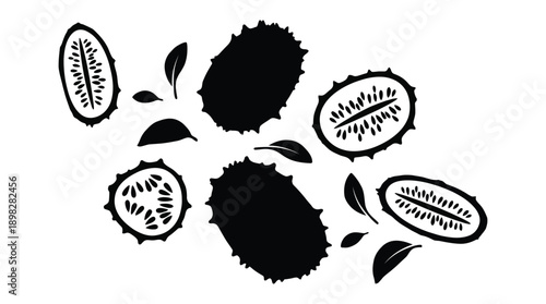 Kiwano vector illustration, exotic fruit silhouettes, horned melon with seeds and leaves