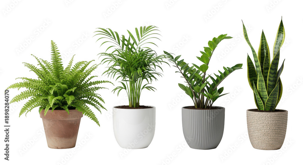 Fototapeta premium Collection of various potted plants isolated on transparent background