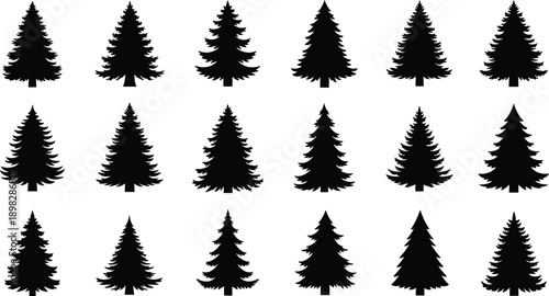 Set of pine tree silhouettes in different shapes isolated on white background for design