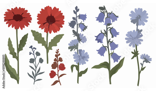 Hand drawn floral vector set of red pink and blue wild flowers isolated on white background