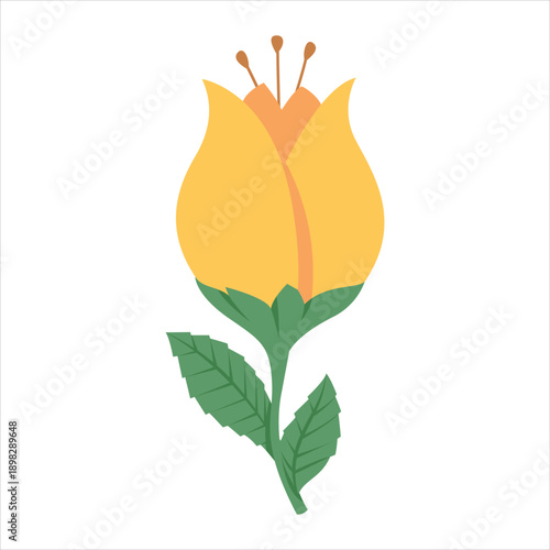 Simple yellow tulip flower with green leaves Vector