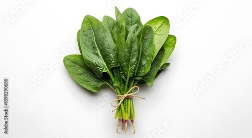 Fresh Green Leafy Vegetable Bunch on White Background