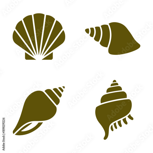 Four brown seashells on white background for design and decoration elements