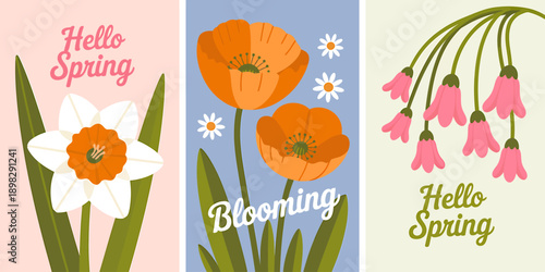 Spring flowers illustrations with hello spring blooming text  seasonal floral graphics