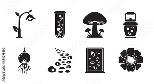Black icons of plants, fungi, and microorganisms on white background