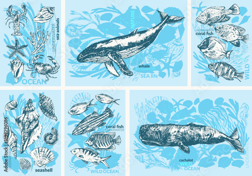 Vector sea life background set. Ocean animals ink sketch and silhouettes of blue whale, sperm whale, octopus, crab, lobster, seahorse, sea turtle, jellyfish