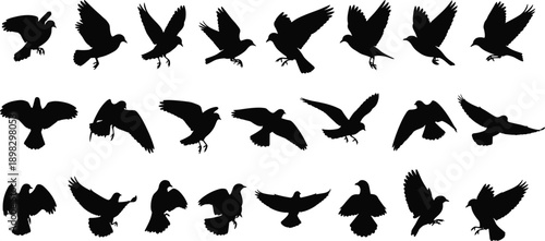 Collection of black silhouettes of pigeons in various flight poses against a white background