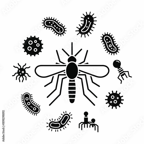 Mosquito and Microorganisms