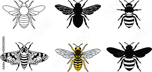 Honey bee and insect illustration set featuring minimalist outlines, solid silhouettes, and detailed color graphics.