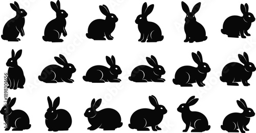 Rabbit silhouette vector set, bunny sitting and standing poses collection, cad drawing flat vector illustration, isolated on white background, wildlife