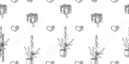 A static pattern of succulents and a heart. Vector image of a blooming succulent (gasteria), peperomia. Black and white seamless vector pattern on a transparent background