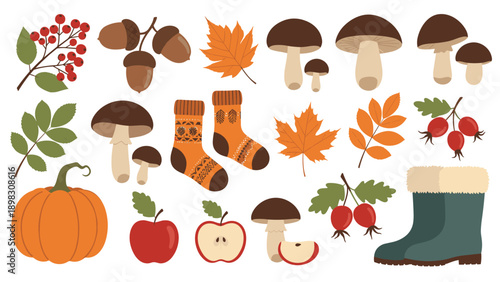 Large set of various autumn elements including pumpkins, apples, mushrooms, leaves, berries, boots, and warm socks.