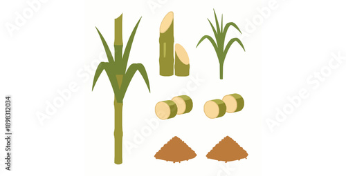 Isolated sugarcane and brown sugar flat vector elements set for food design