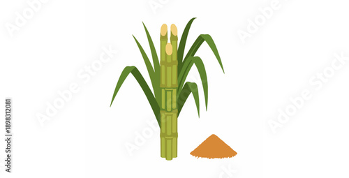 Sugarcane stems with leaves and brown sugar flat vector set on white background