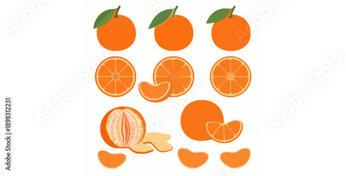 Isolated orange mandarin fruits flat vector elements set with whole and segmented pieces