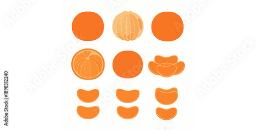 Orange mandarin fruit unpeeled and peeled segments flat vector set on white background