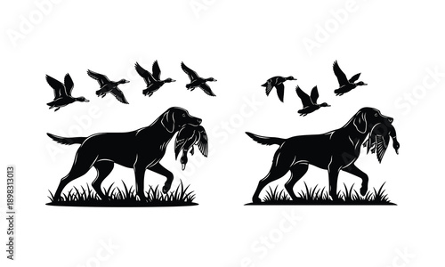 Two black dog silhouettes hunting with birds flying overhead in grass