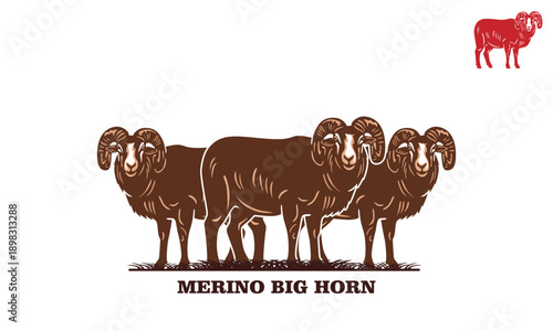 big merino big horned sheep logo, silhouette of ram standing vector illustrations