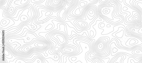  topographic map illustration with contour lines on a white background The abstract pattern and texture create a visually striking design, suitable for educational, scientific, or artistic purposes.