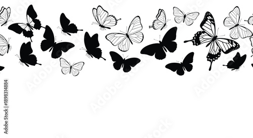 Decorative border features a variety of butterflies in black silhouettes and detailed white outlines for creative designs.